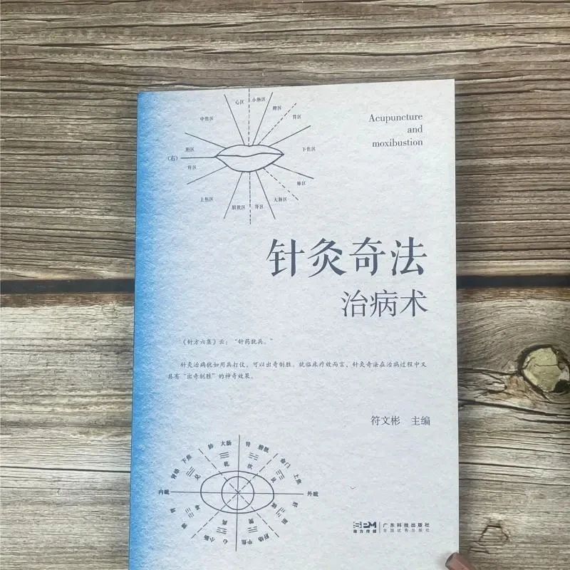 The Art of Acupuncture Healing: Specialized TCM Methods for Treating Ailments – Acupuncture Moxibustion Guide