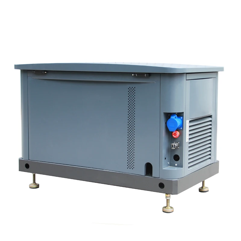 Silent LPG NG Propane Gas Generators Single 3 Phase 5KW 6KW 8KW10KW 18KW 25KW 30KW Gas Natural Genset Generator