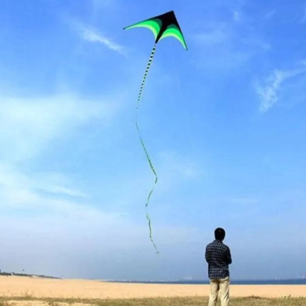 Nieuwe Easy Fly 1,6 m grote Delta Kite lange staart ripstop regenboogvlieger met 100 m vliegerlijn goede vlieger leuke sport