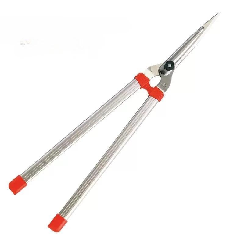 Alice Gardening Too… - image