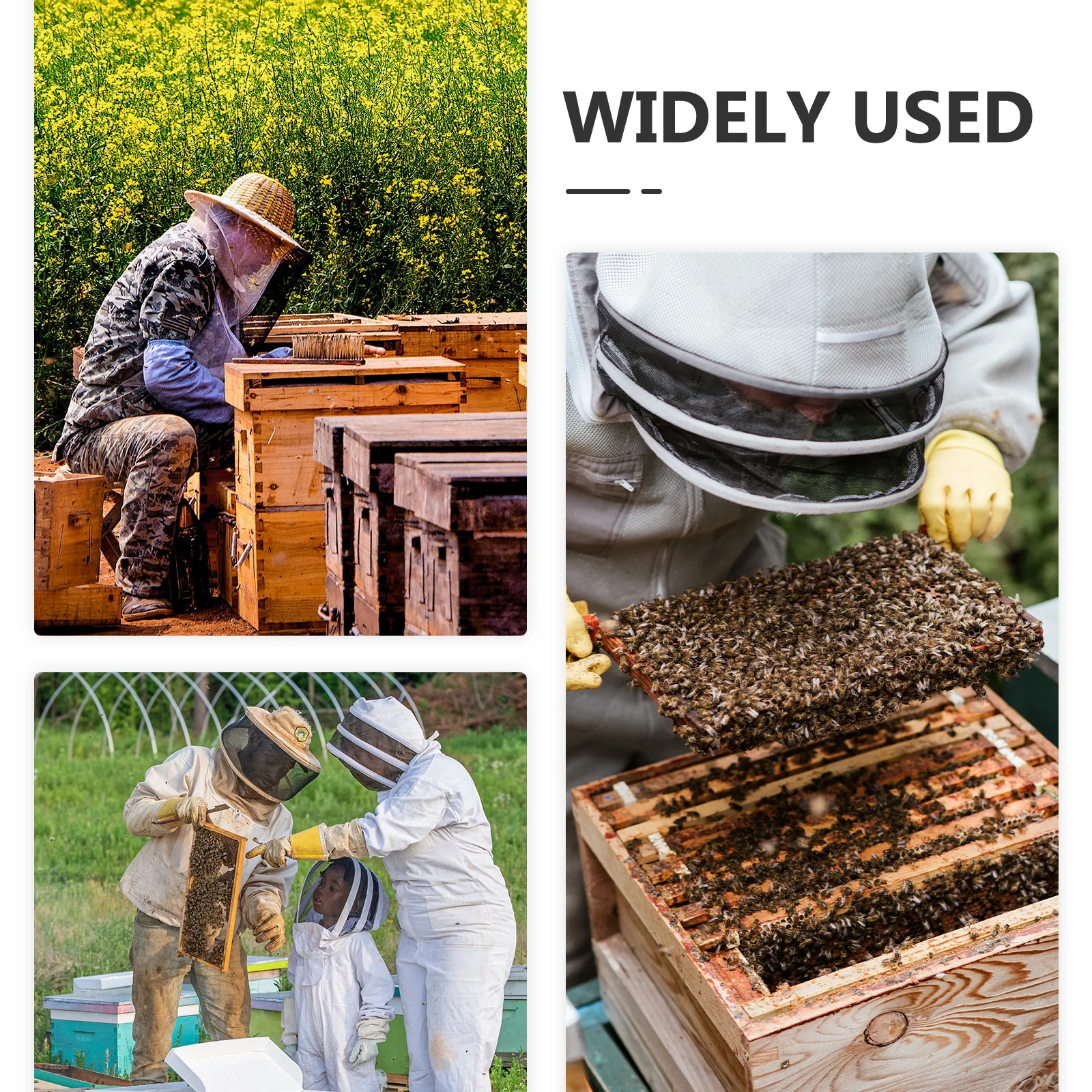 

10Pcs Beehive Entrance Water Feeding Cups Durable Plastic Bee Feeder for Garden Bee Waterers Station Water for Bees Garden