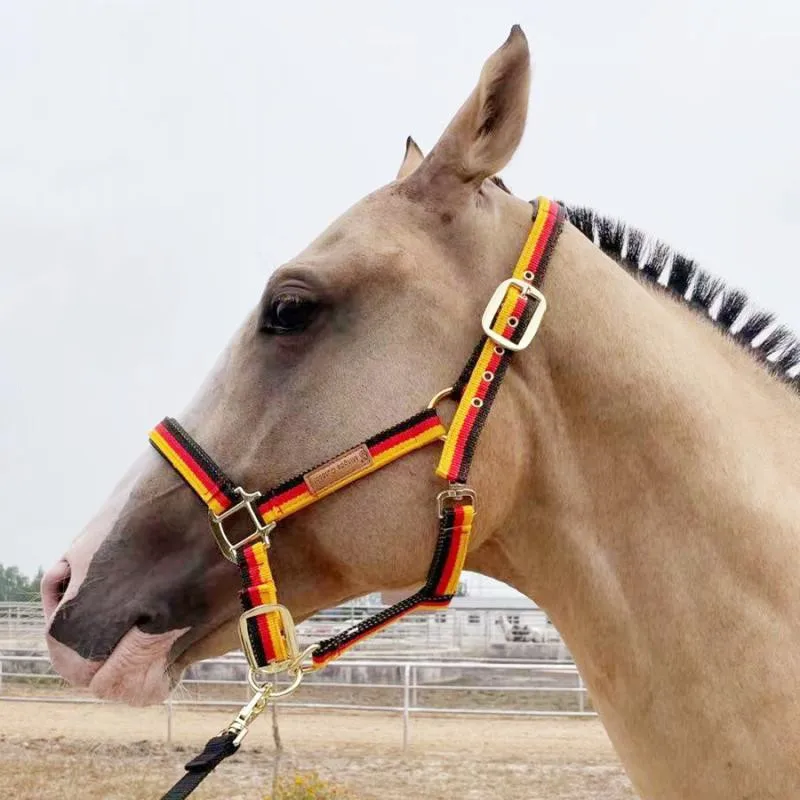 Proteção acolchoada cavalo Halter, ajustável Chin e garganta Snap, equipamento de equitação, vários tamanhos, corda durável