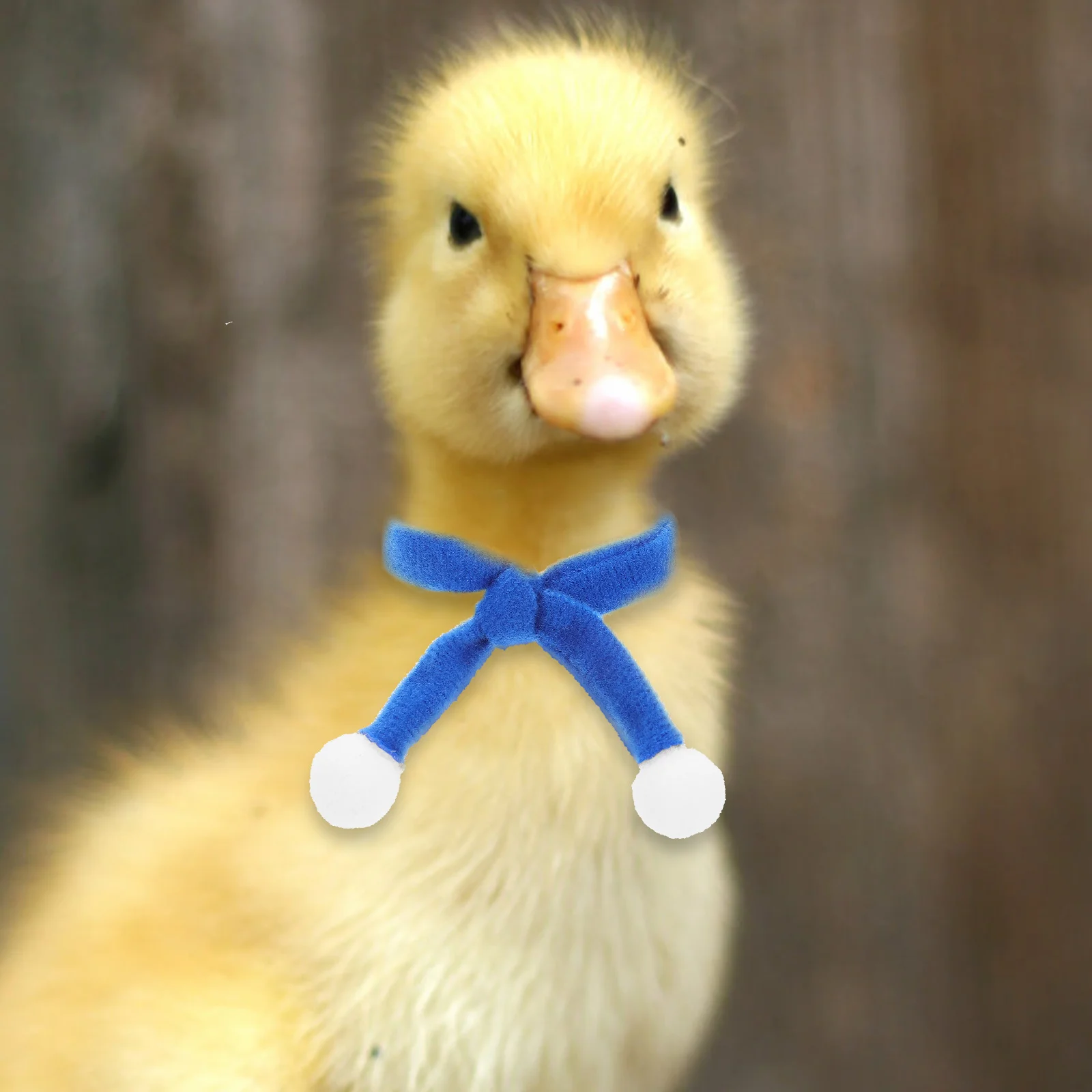 6 قطع من قبعة عيد الميلاد للحيوانات الأليفة، مجموعة وشاح تزيين للكلاب والقطط، إكسسوارات تنكرية للحفلات من أجل الفانيلا