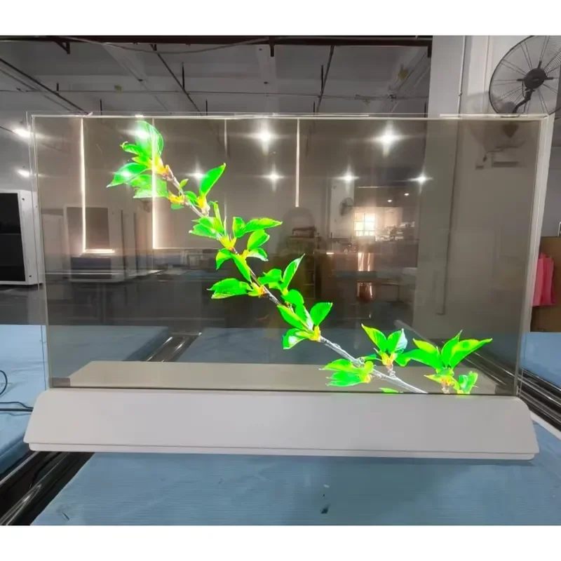55 Inch High Resolution Transparent OLED Interactive Display Capacitive Touchscreen for Shopping Mall Full HD Resolution