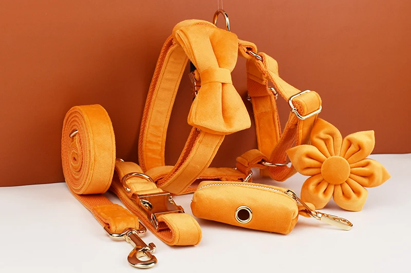 Orange Samt-Hundehalsband und Leinen-Set für Hunde, individuell graviertes Namensschild, Heimtierbedarf, Hundeleine aus Samt 41 – Detail 2
