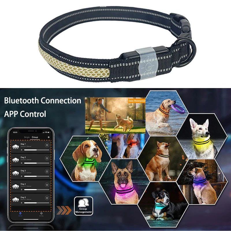 New Dog Collar Light Bluetooth App Control Usb Charging Reflective Waterproof LED Dog Collars Luminous For Big Dogs Night Safety