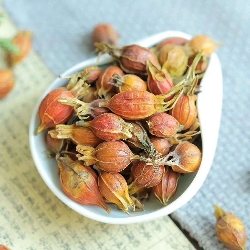 ดอกพุดป่า