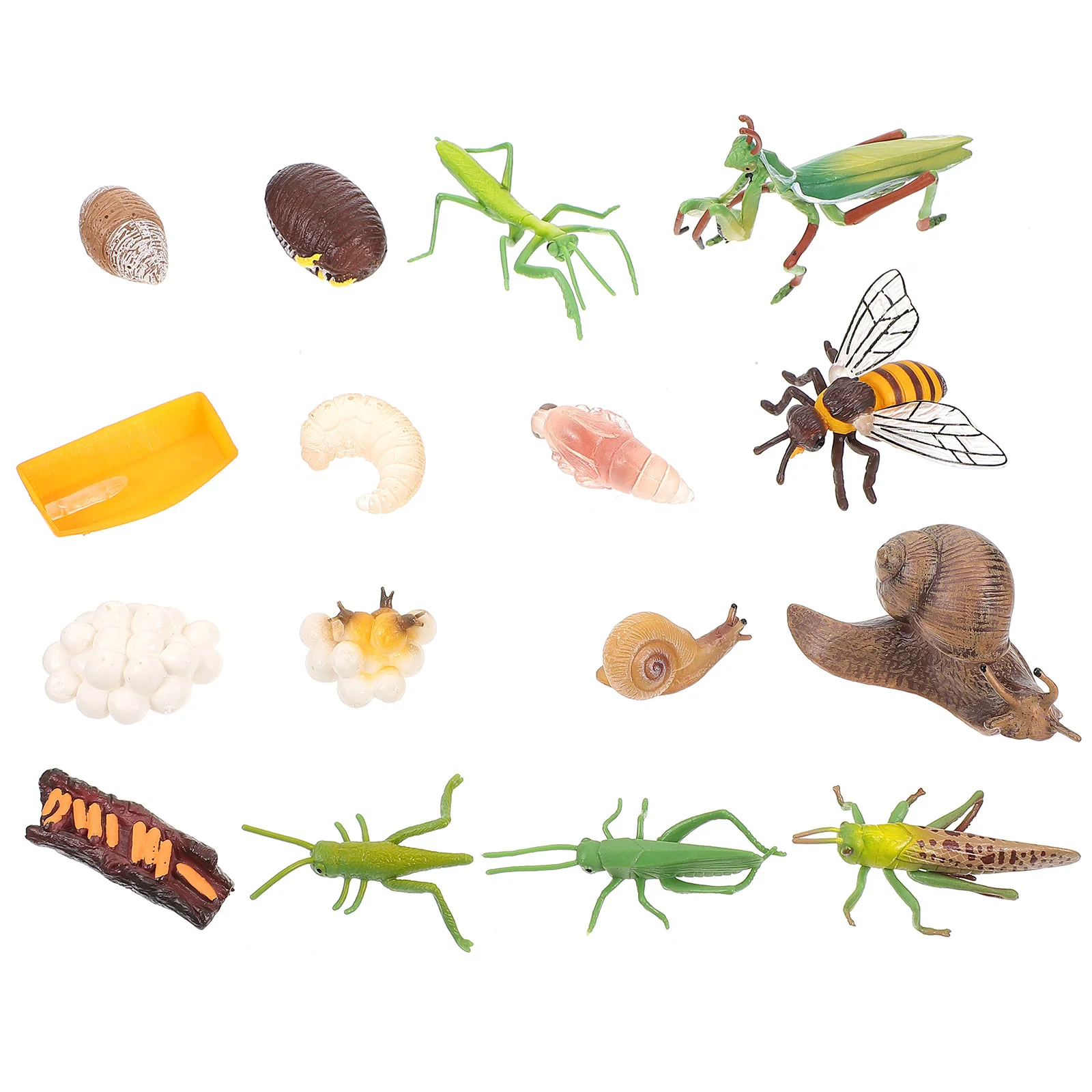 

4 Sets Models Insect Display Mini Simulation Growth Animal 10X75X2CM Life Cycle Miniature Figure