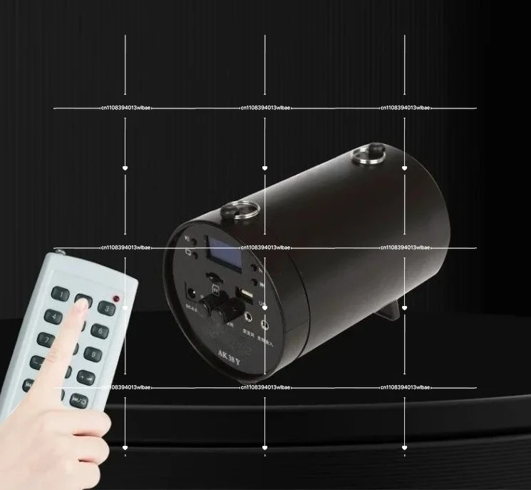 AKER AK38 Multi-Function Reverb Amplifier, TF Card USB Music Playback