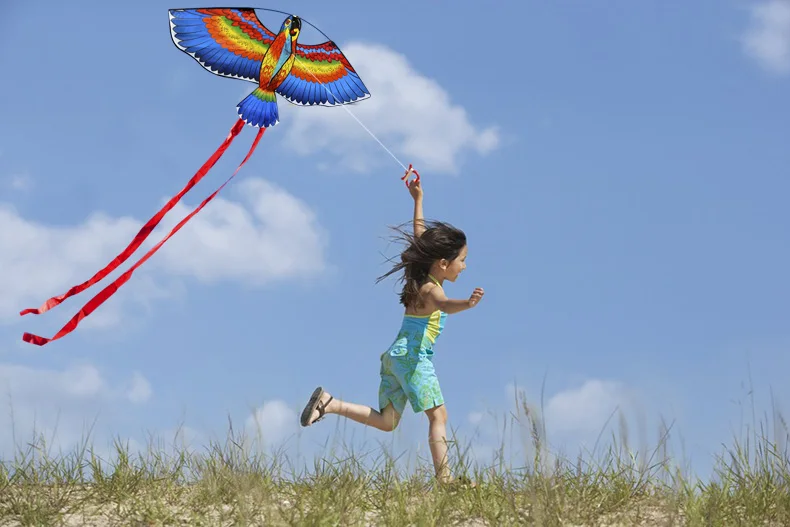 Cometas de loros y pájaros con asa y Línea para Niños, cometa de 43 pulgadas, deportes divertidos al aire libre, novedad