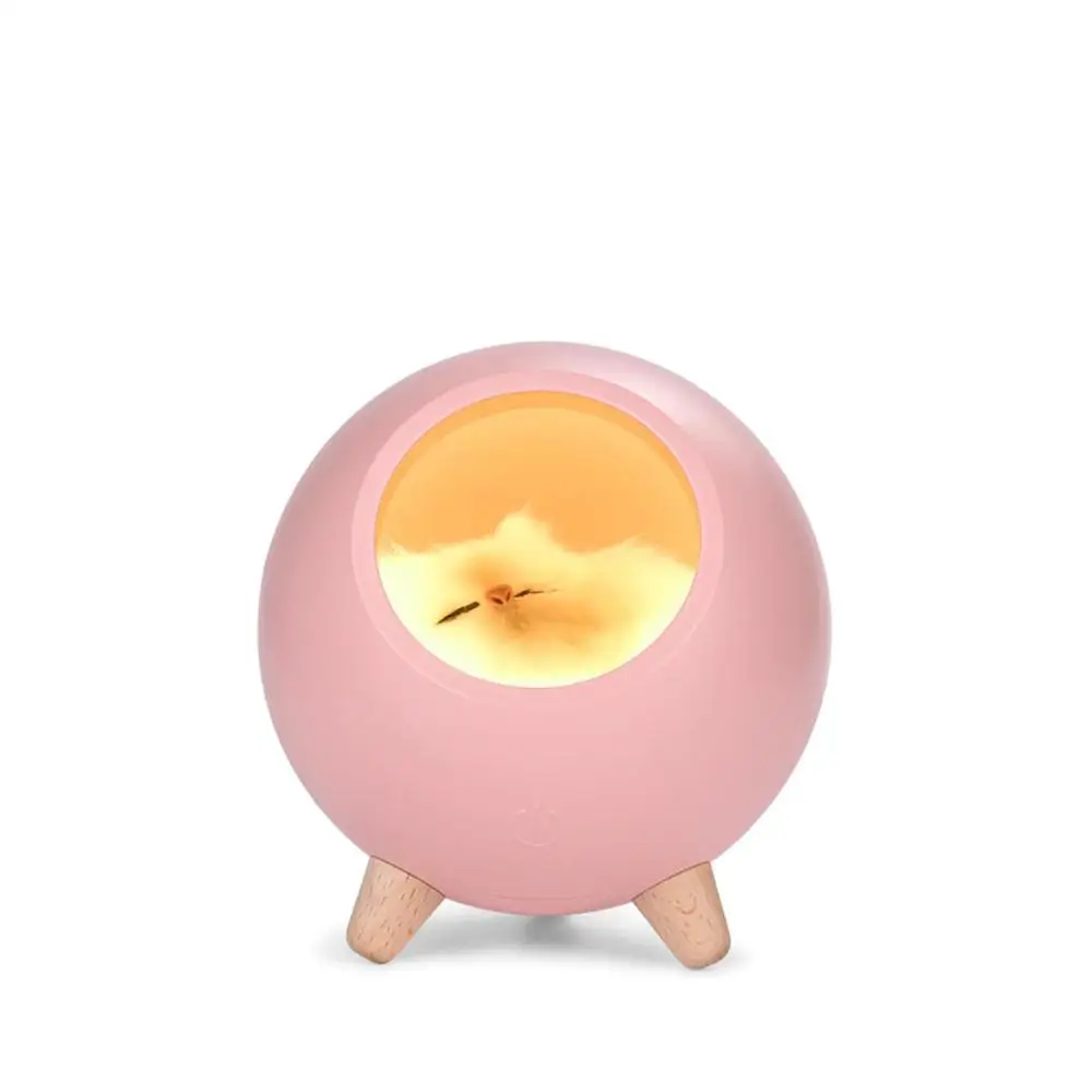 Veilleuse de maison pour animal de compagnie, lit de chaton avec lumières de couchage, USB, lumières d\'ambiance tactiles, petits chats mignons