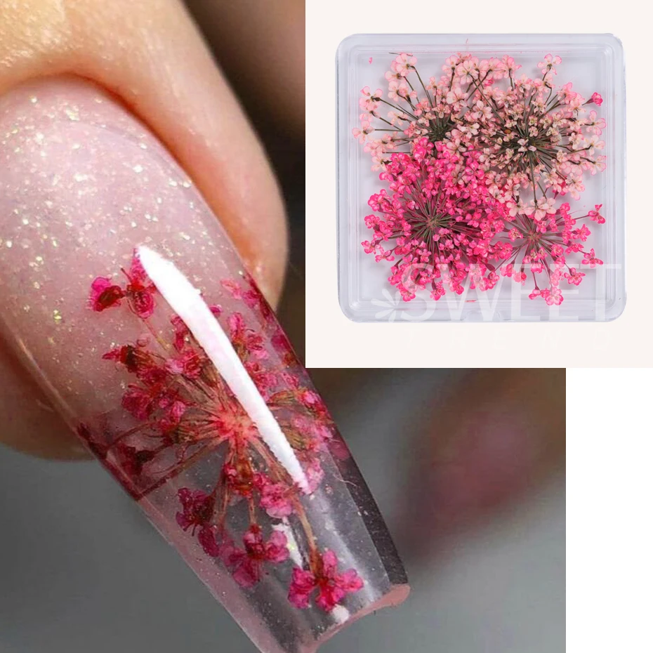 1Box 3D Nail art Blume Dekoration Zarte Getrocknete Blume Nail art Dekorationen Exquisite Nail art Schönheit Für Charms zubehör