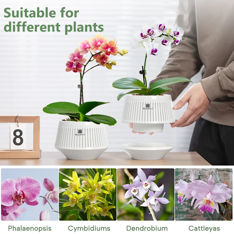 Meshpot-Orchideentopf mit Löchern, Blumentopf aus Kunststoff, dekorative afrikanische violette Töpfe mit Luftschnitt und guter Luftzirkulation – Detail 10