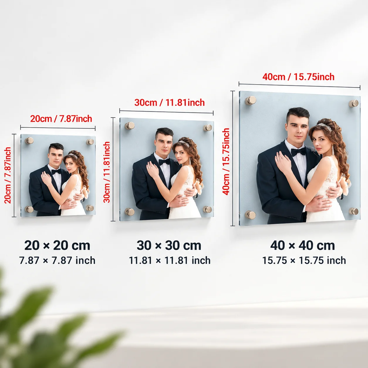 ป้ายอะคริลิกติดผนังแบบลอยตัว ป - Photographic Memory บทวิจารณ์และราคา