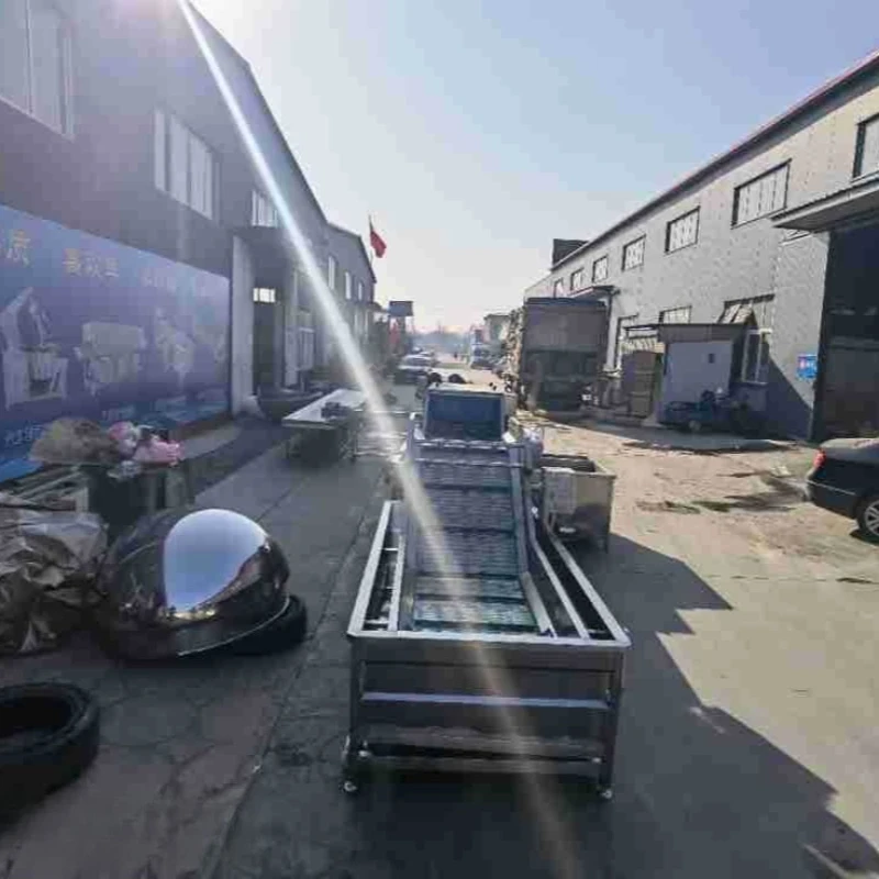 Fruit and vegetable washing machine assembly line food washing machine