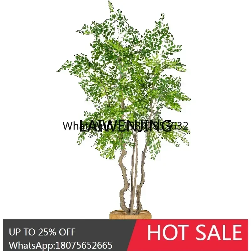 B1 Super Large Simulation Elm Money Tree Money Ficus Green Plant Window Decoration Floor Ornament