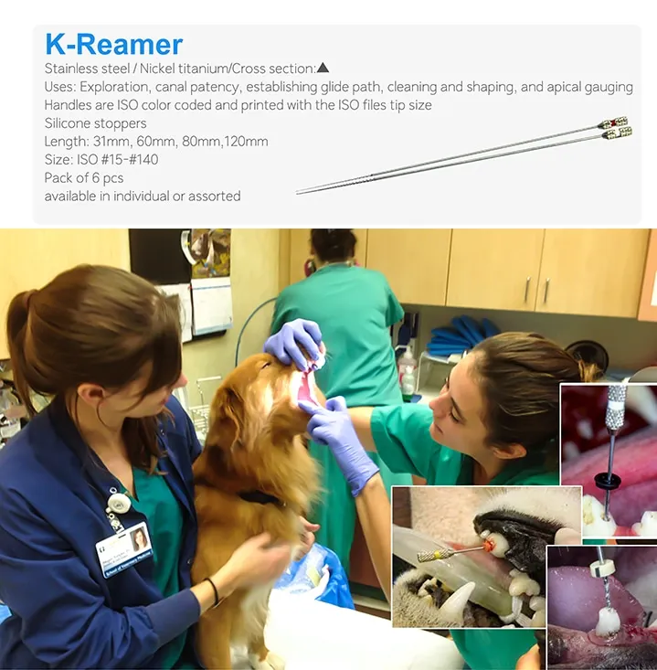 Medical Instruments & SuppliesVeterinary Medical ProductsVeterinary Instruments & Veterinary Rotary Files