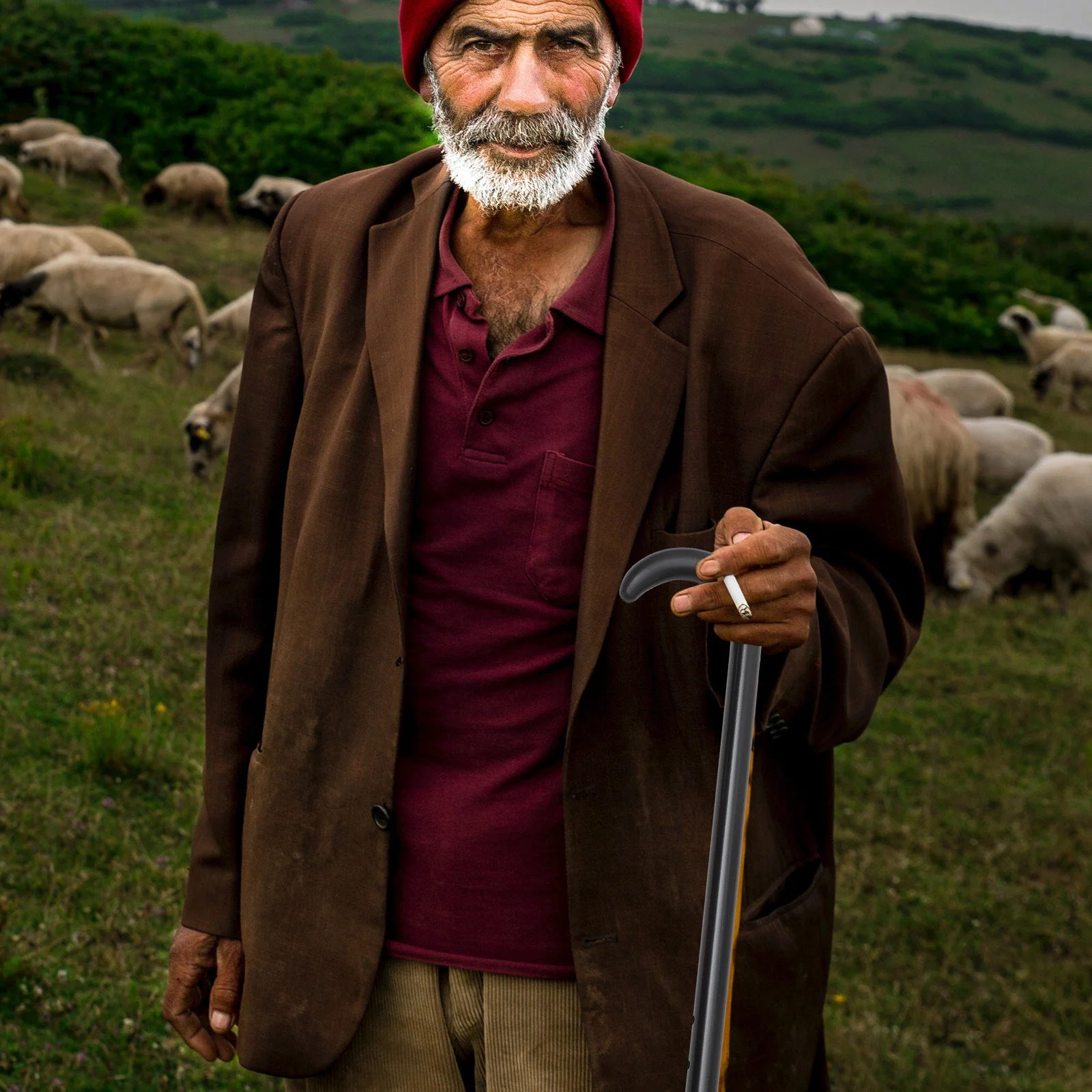 Bastón ajustable de aleación de aluminio de 2 secciones, bastón antideslizante y antioxidante para ancianos, bastón negro para caminar, bastones de senderismo