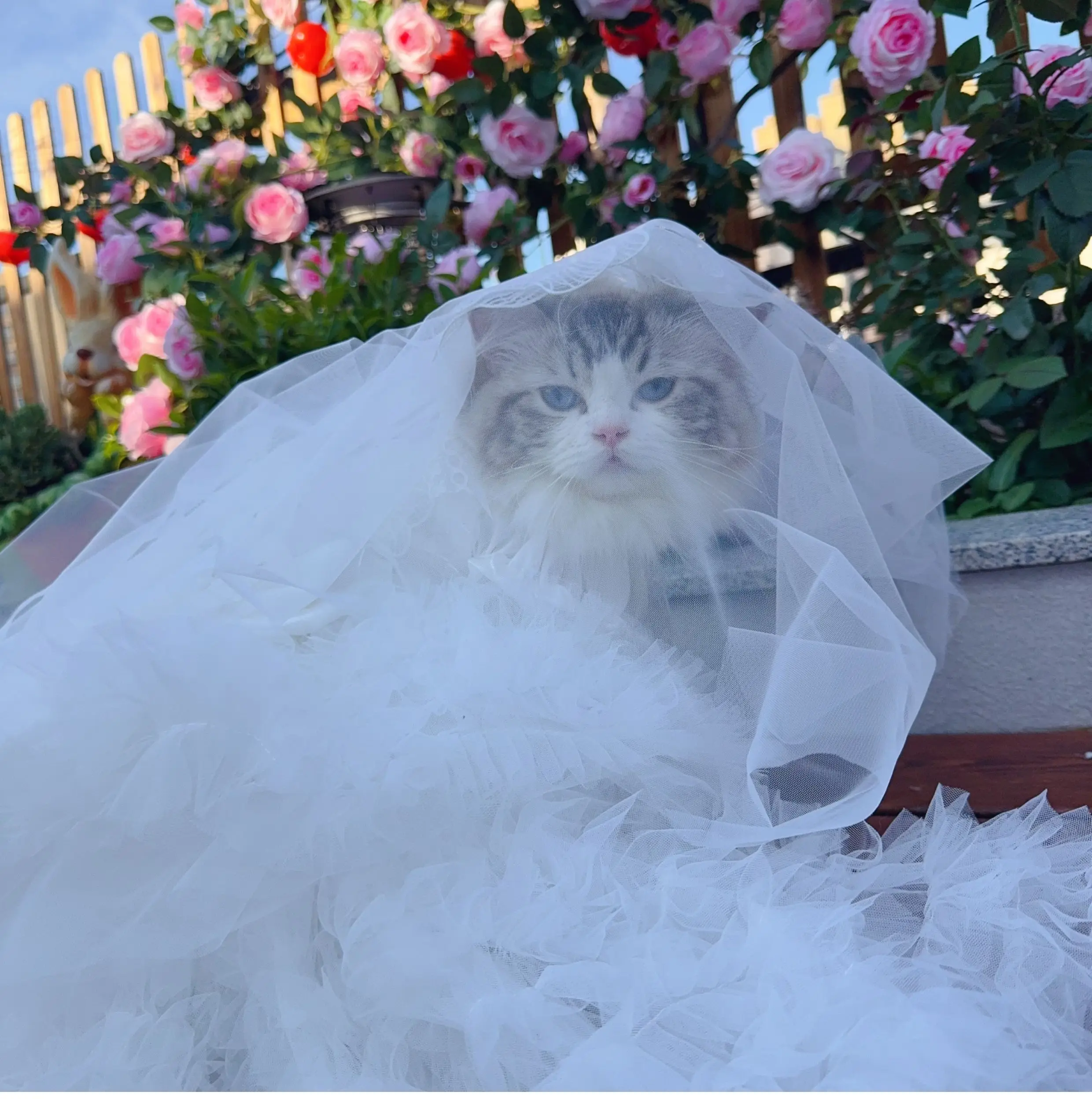 

Luxury Pure White Lace Long Tail Princess Dress For Small Medium Dog Fashion Handade Pet Dog Clothes Puppy Dog Photography skirt