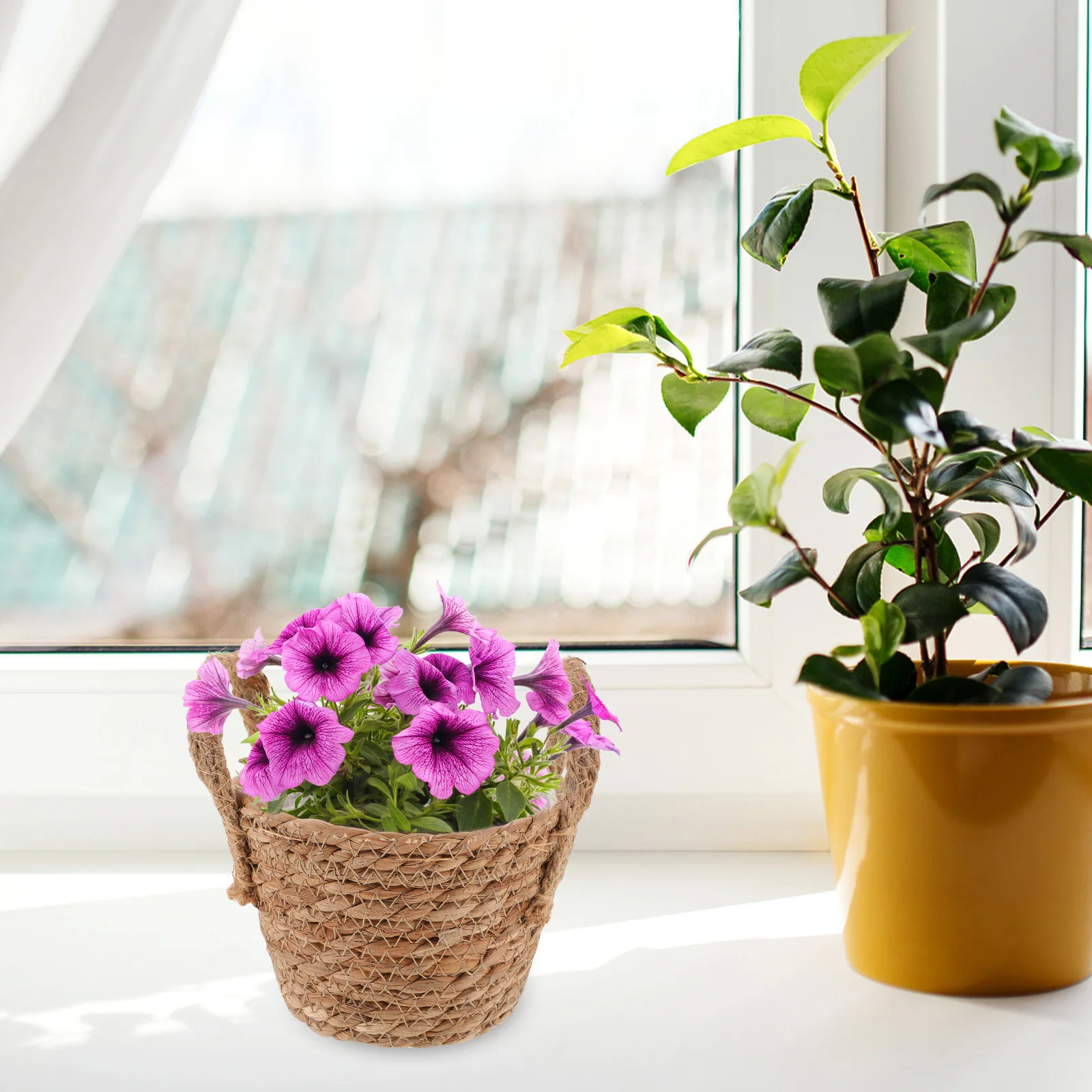 

Woven Flower Basket Handwoven Decorative Planter Basket for Indoor Outdoor Small Plants Flower Storage Artistic Home Garden