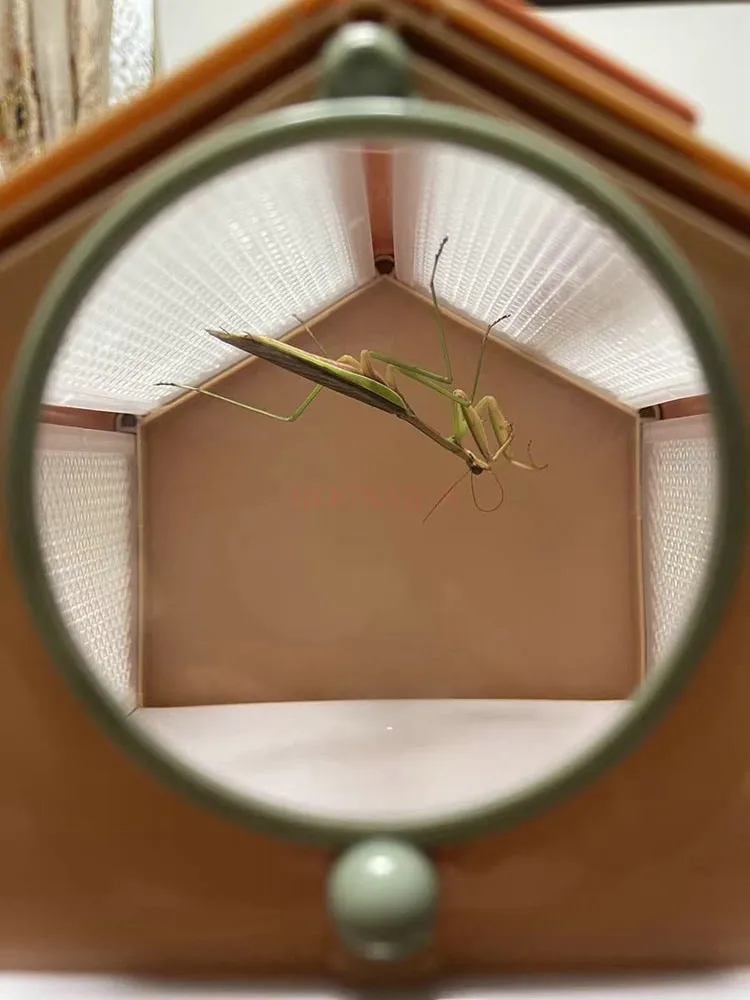 Butterfly pupa can hatch, portable insect cage observation box, butterfly cicada, dragonfly breeding cage collection box