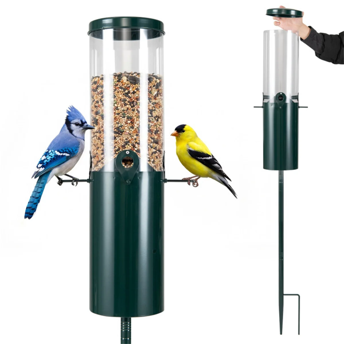 

Bird Feeding Tool Pet Supplies Wild Bird Seed Feeder Outdoor Decoration Bird Tableware Garden Paddock Bird Feeder With Stand
