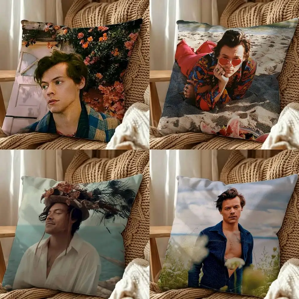 Famous Pop Singer Harry Styles Cartoon Art Square Double-Sided Printed Pillow Case Sofa Cushion Cover Bedroom Bedside Decor