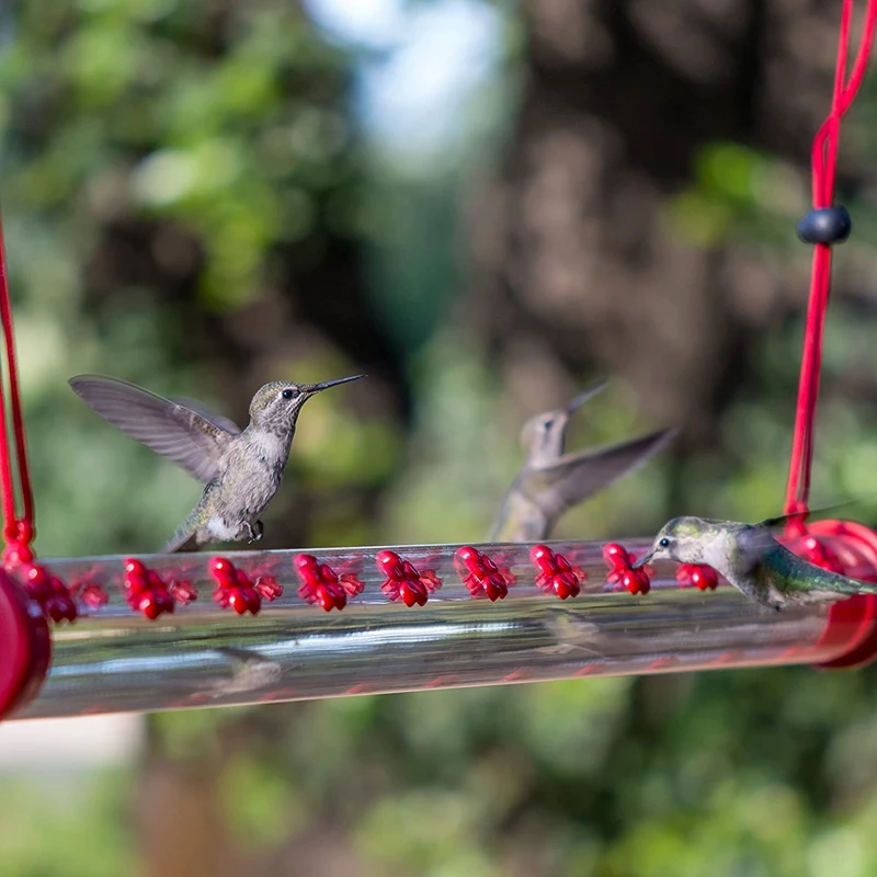 Vogel häuschen mit Loch Vogel fütterung transparentes Rohr einfach zu bedienende Vogel häuschen Dekoration