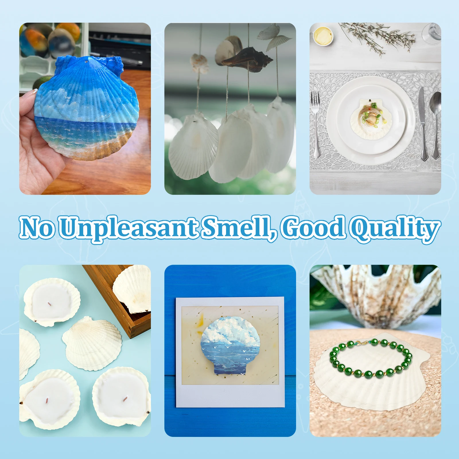 قذائف التقوقع الأبيض الطبيعي DIY بها بنفسك الحرف الخبز ديكور الشاطئ حفلات الزفاف رسمت باليد الكتابة على الجدران ملصقات جدار الحرف الديكور