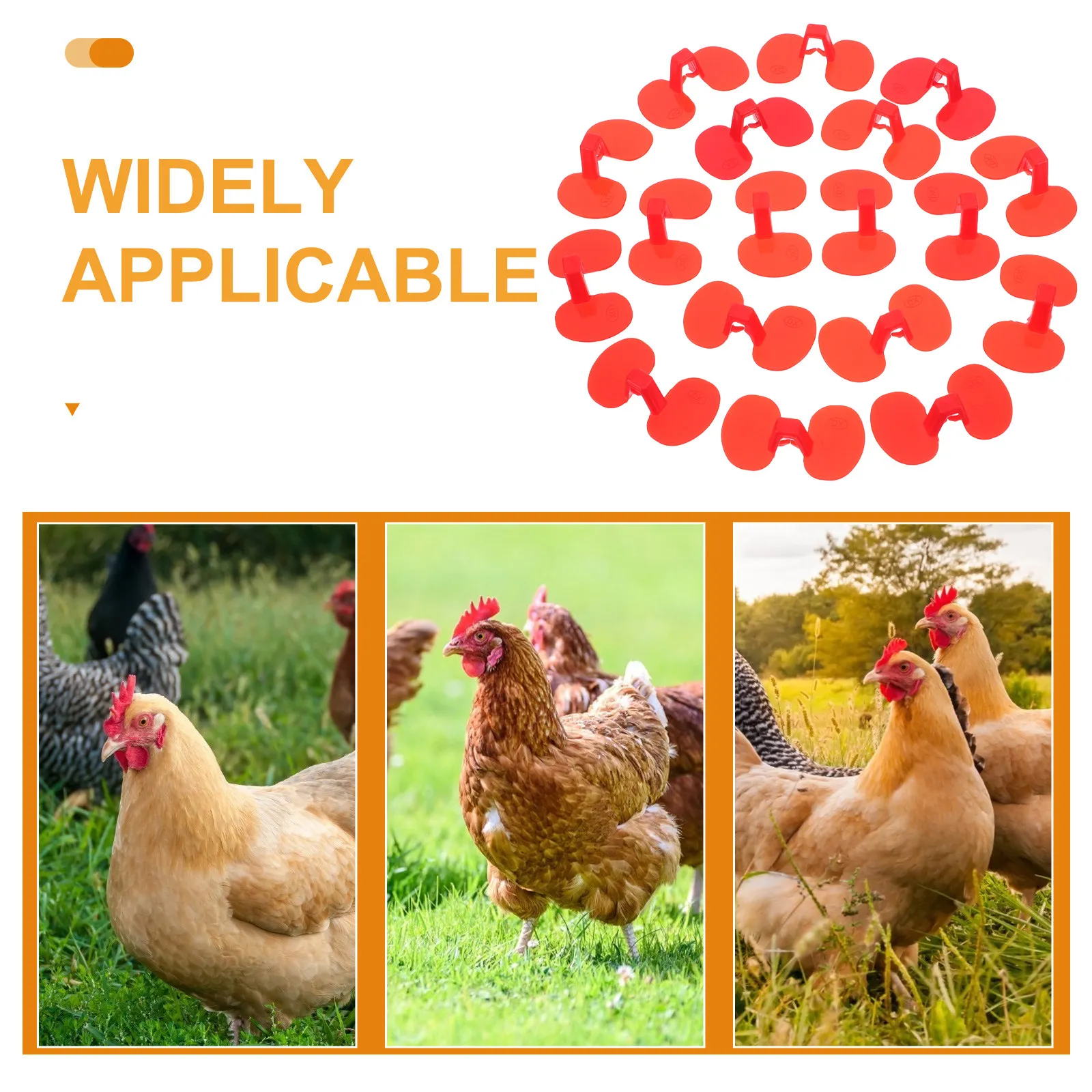 100Pcs Red Plastic Anti-Pecking Chicken Spectacles Poultry Eyeglasses for Flock Management Egg Quality Improvement Farm