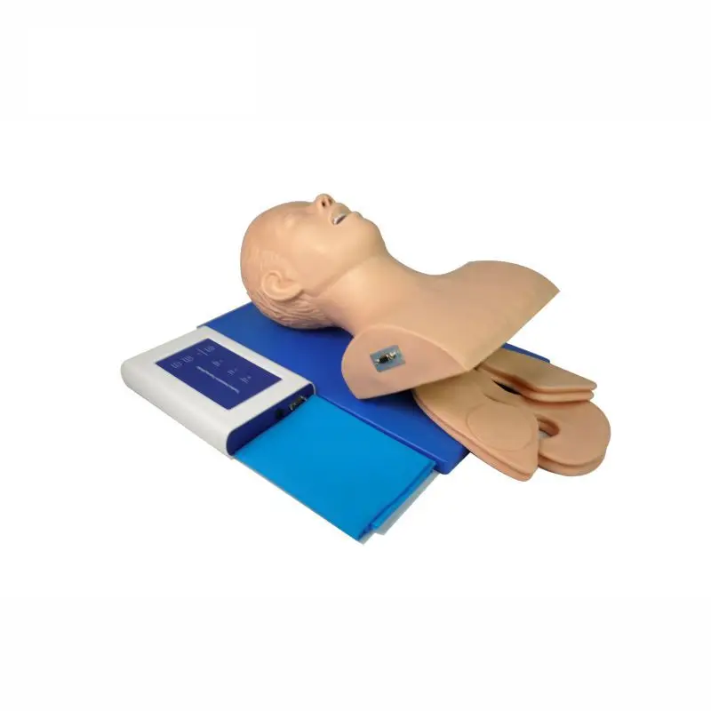 

Human Airway Trachea Intubation Manikin, Adult Endotracheal Intubation Training Model