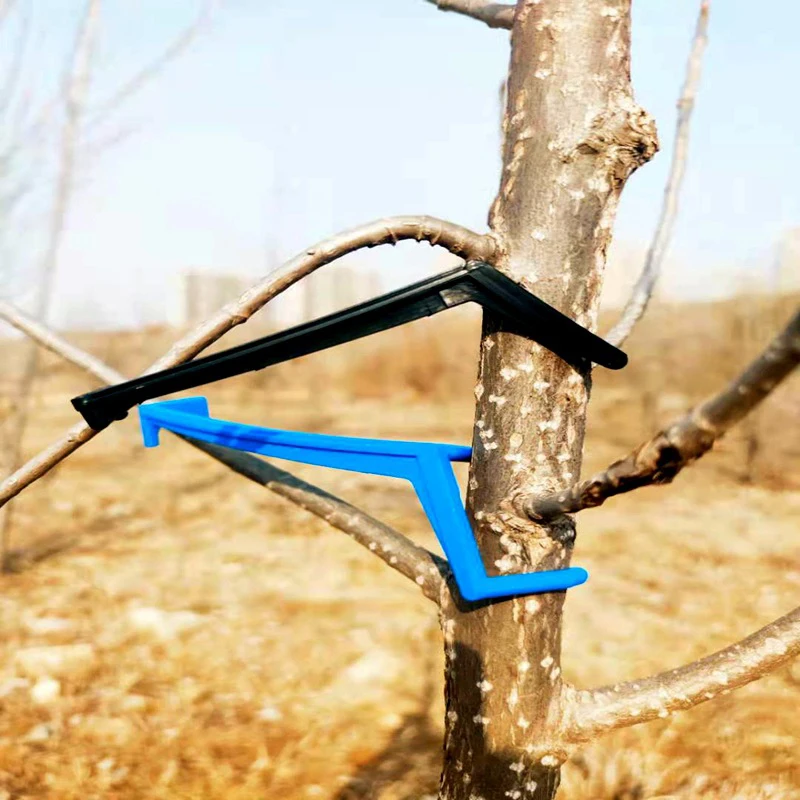 

10Pcs Fruit Tree Branches Holder Fruit Branch Spreader Tree Branch Support Frame