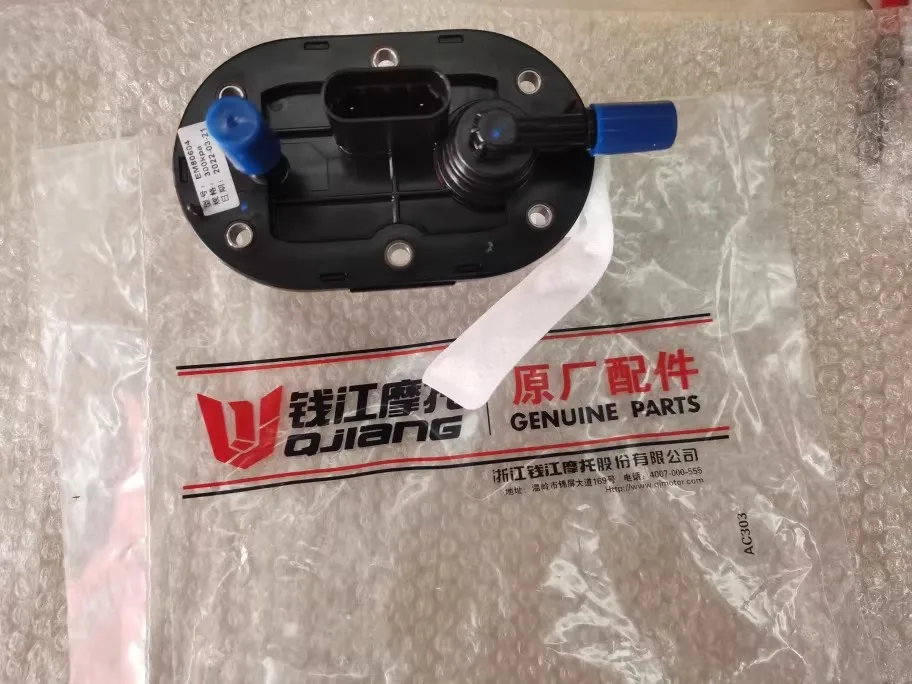 otorcycle Fuel Pump For Benelli BN251 TNT25 TNT250 / BN TNT 25 250 251 BN302 TORNADO TNT300 STELS 300 Moto Fuel Supply Parts