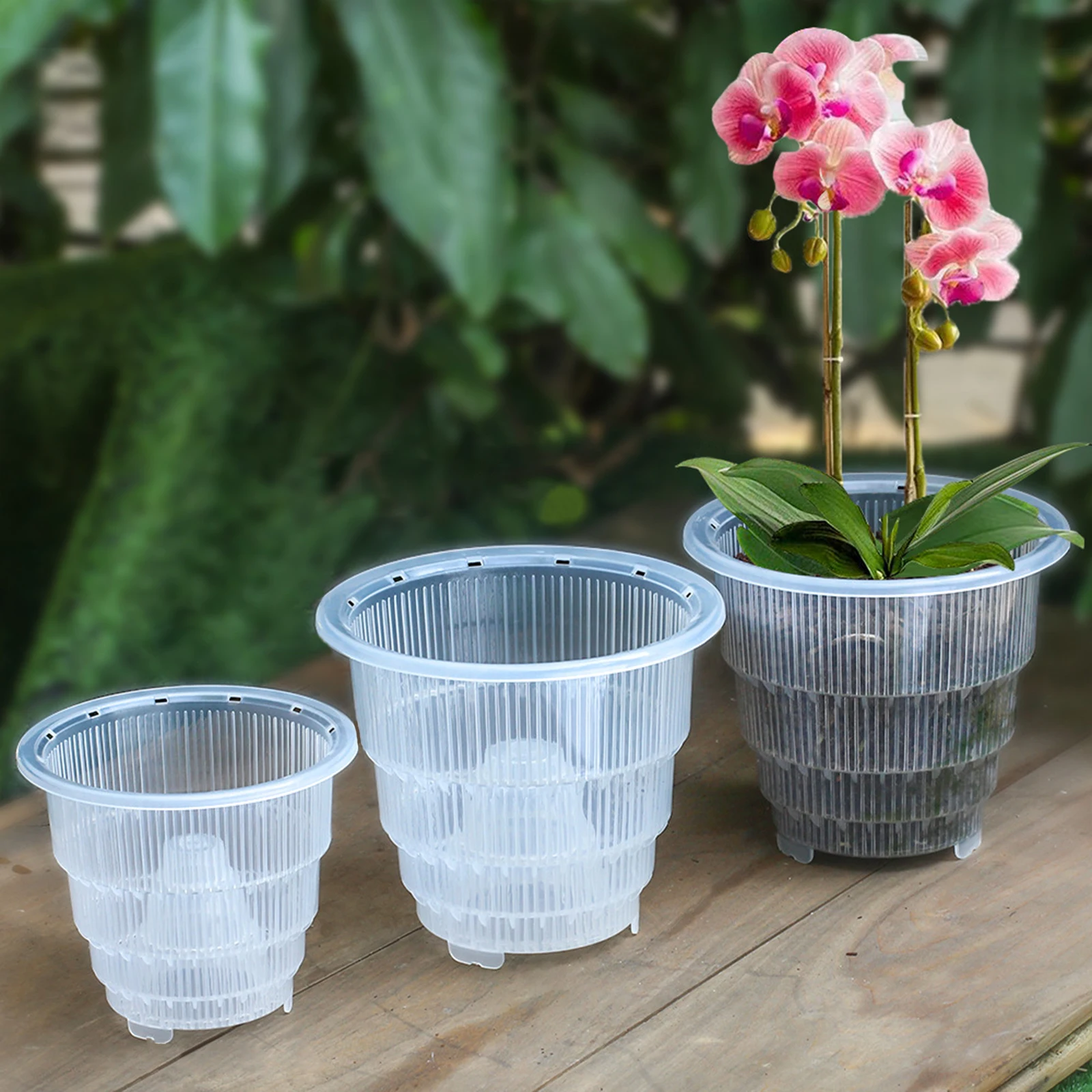 

Pots Succulent Growing Cases Planters Flowerpots PP Transparent 10×11.1cm/12×12.4cm/15×15.5cm Hydroponics Box With Air Column