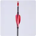 shield 1.75 Red RW