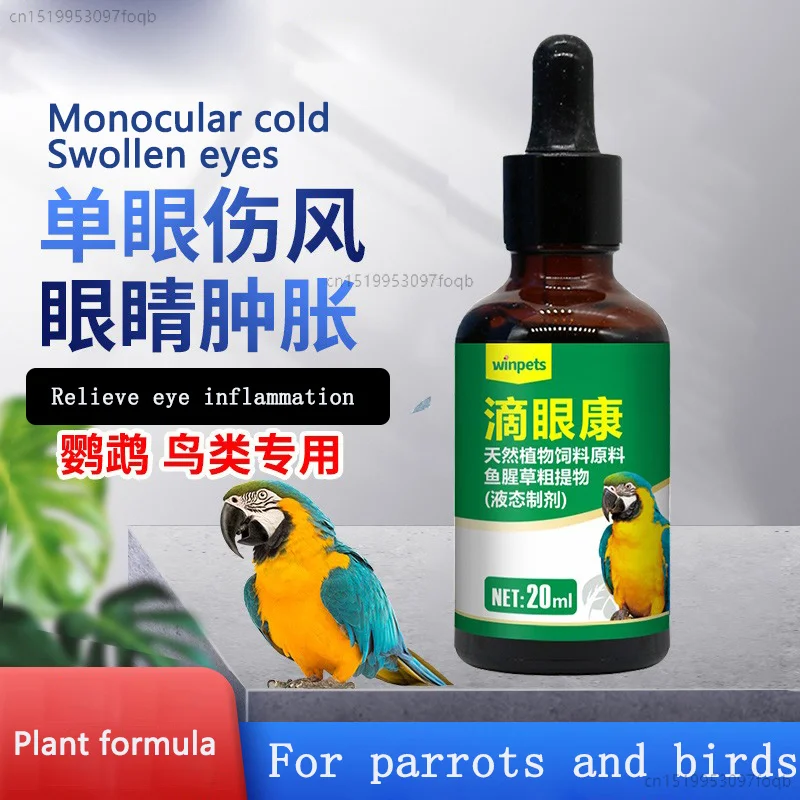 A parrot has a cold eye, a drop of spirit, tears and swelling, closed eyes, homing pigeon racing pigeons dripping eye