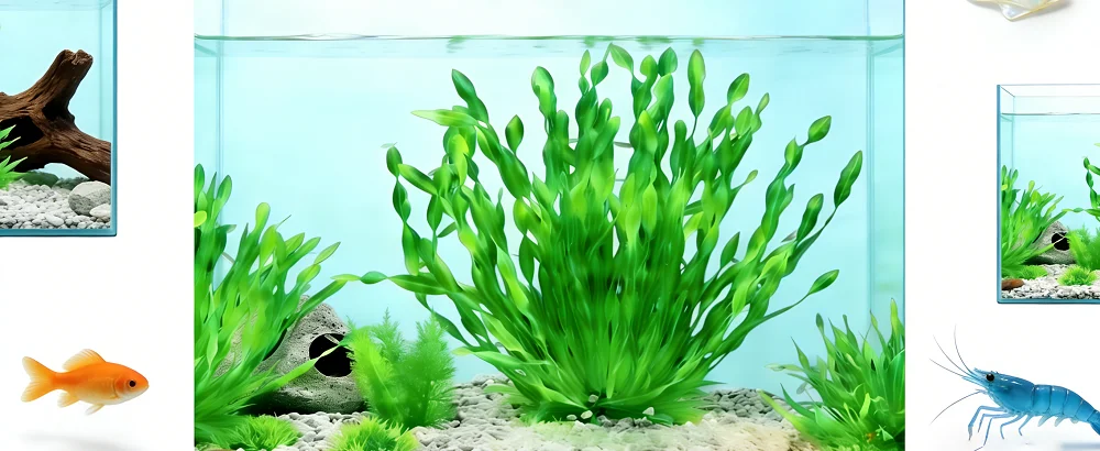 5/10 Stück Kunststoff-Aquarienpflanzen, Fischbecken-Dekorationen, Künstliche Algen, Wassergras, Unterwasserpflanzen, Aquarium-Zubehör – Detail 2