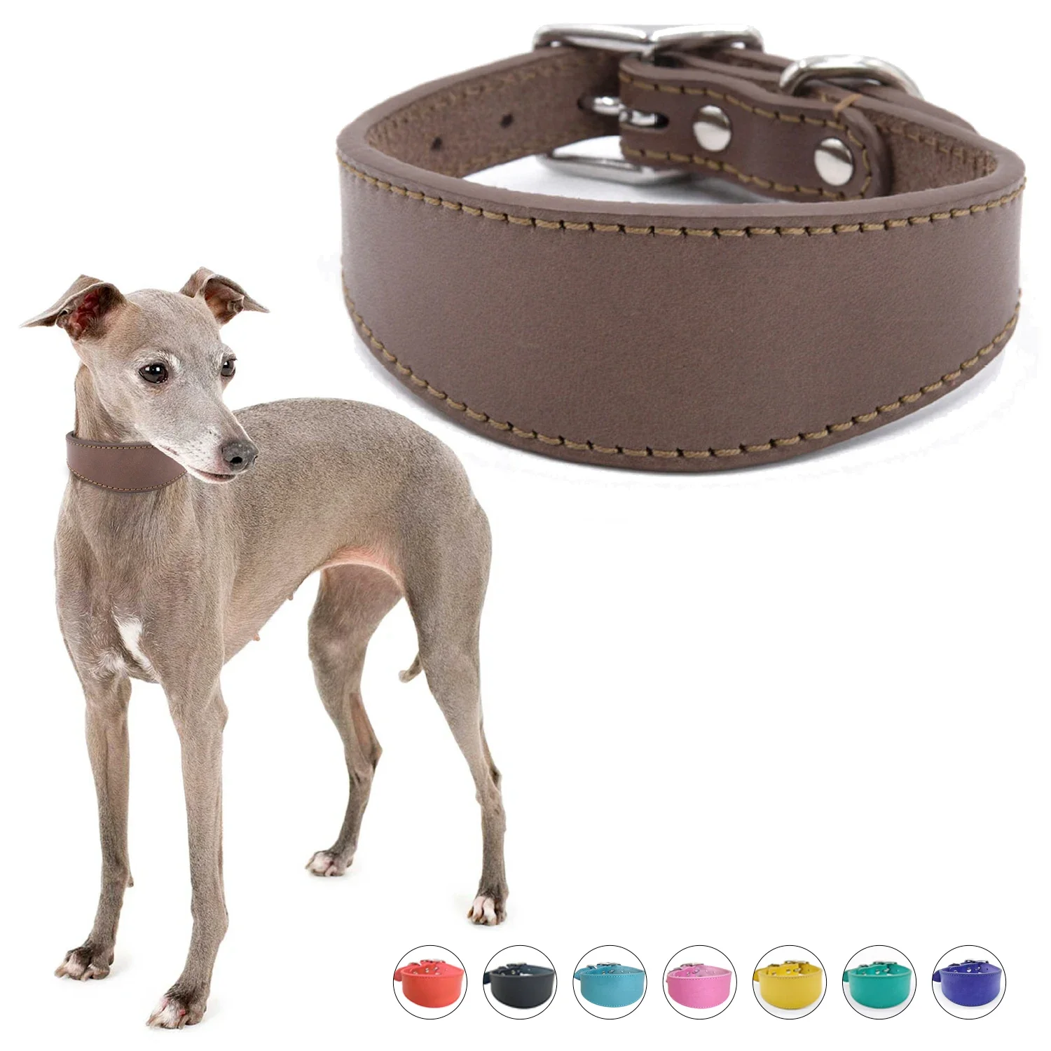 

Wide Padded Dogs Collar Genuine Leathers Puppy Collars for Italian Greyhounds Comfortable Pet Dogs Accessories Large Dog