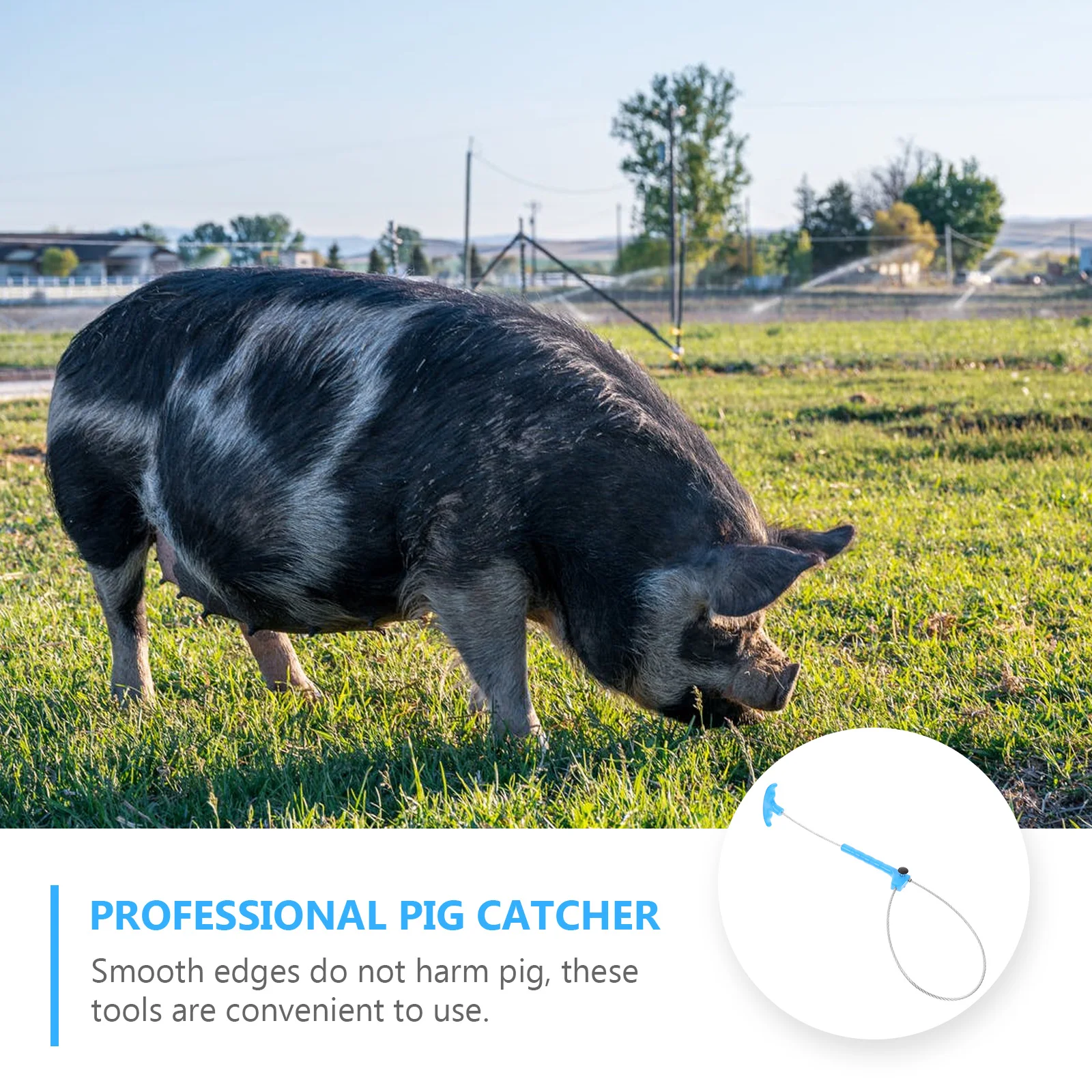 

Portable Pig Catcher Farm Accessory Smooth Edge Control Pole for Sheep Piglet Handling Convenient Snare Holder Strong