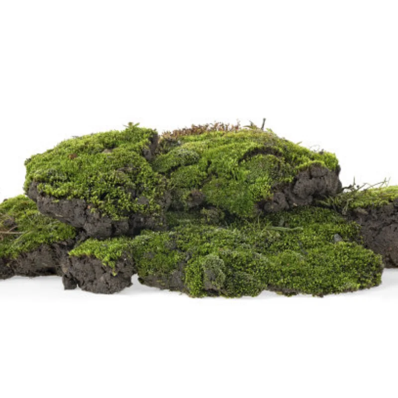 

4pcs Short Course Truck Tire Wheel Tyre 12mm Hex for 1/10 Feishen Off road RC Model Car 110mm Leimo Huanqi 727 DHK8135