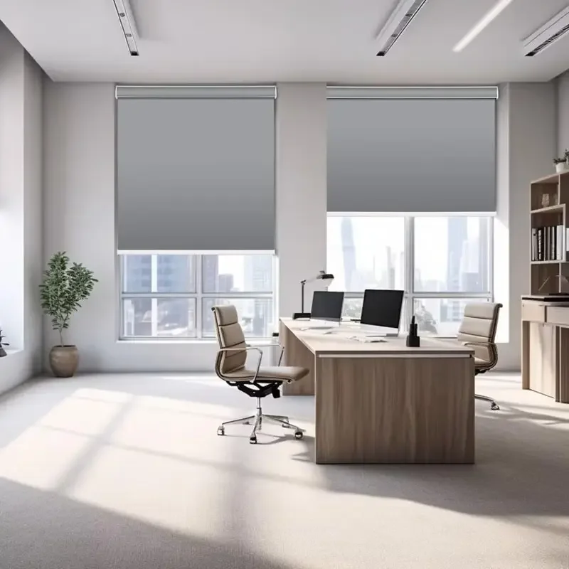 Factory Direct Sale Blackout UV Privacy Protection Thermal Insulation Manual Cordless Roller Blinds For Bedroom view 5