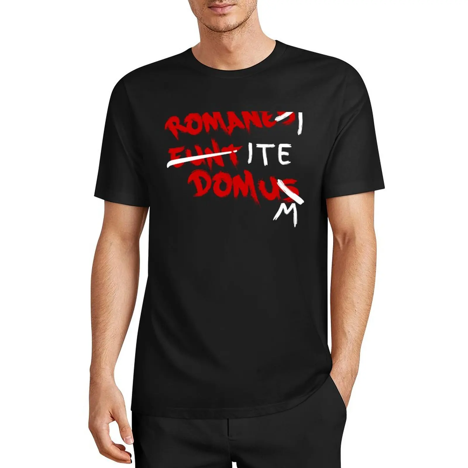 Romanes Eunt Domus - Romans Go Home T-Shirt Aesthetic clothing man t shirt plain anime clothes men graphic t shirts