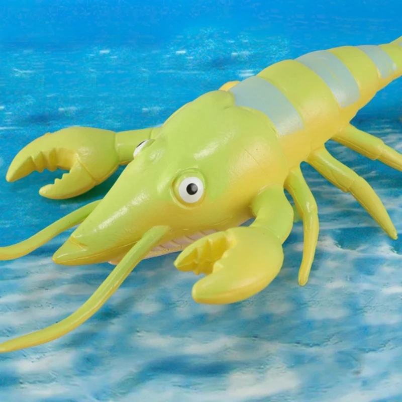 Modello balena realistica animale aragosta per raccolta esposizione 15UB