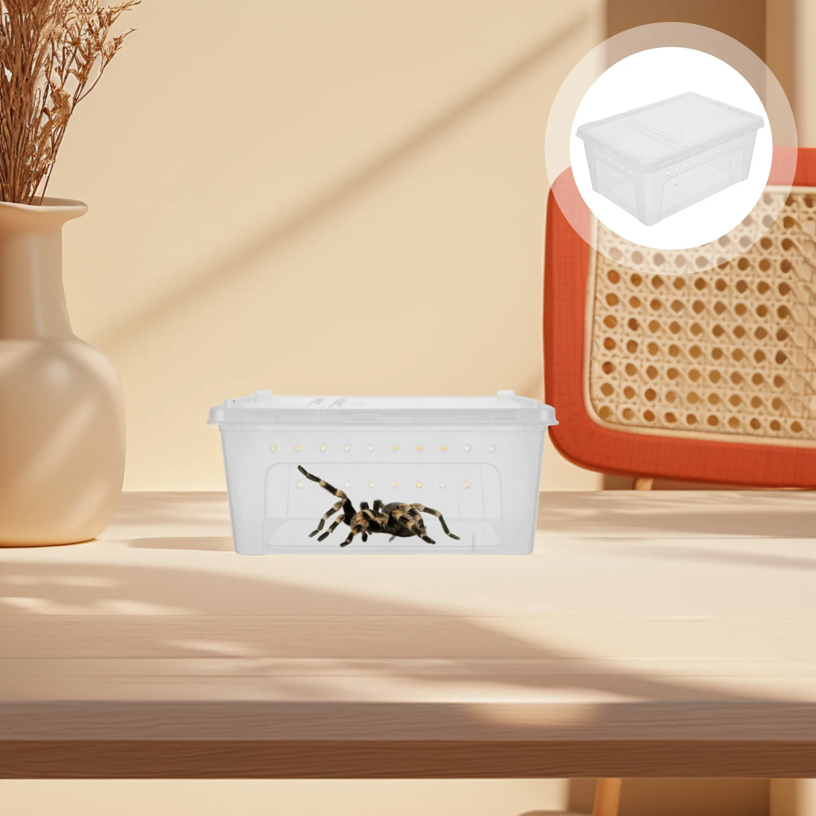 

Spider Breeding Box Transparent Escape Proof Enclosure for Young Spiders Small Animal Habitat Portable Reptile