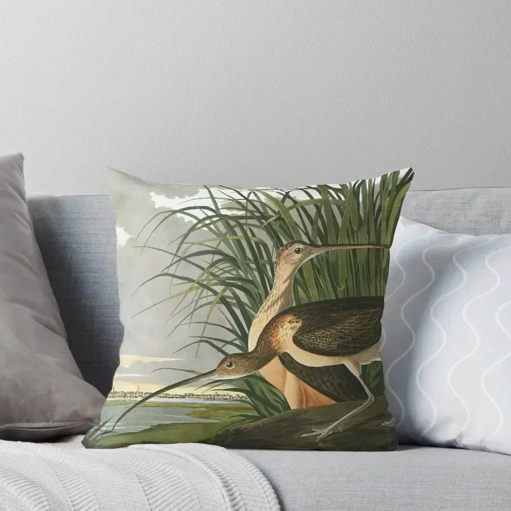 

Long-billed Curlew - John James Audubon Throw Pillow Cushions Home Decor Luxury Sofa Cushions pillow