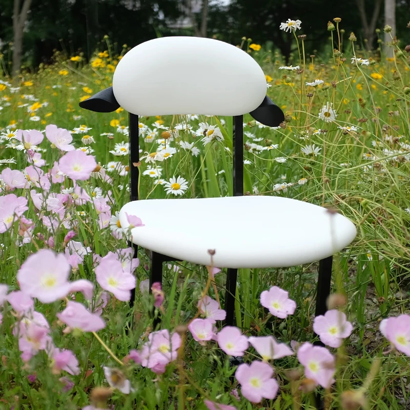 

Dining Chair Makeup Chair Comfortable Study Chair Restaurant Genuine Design Colored Plastic