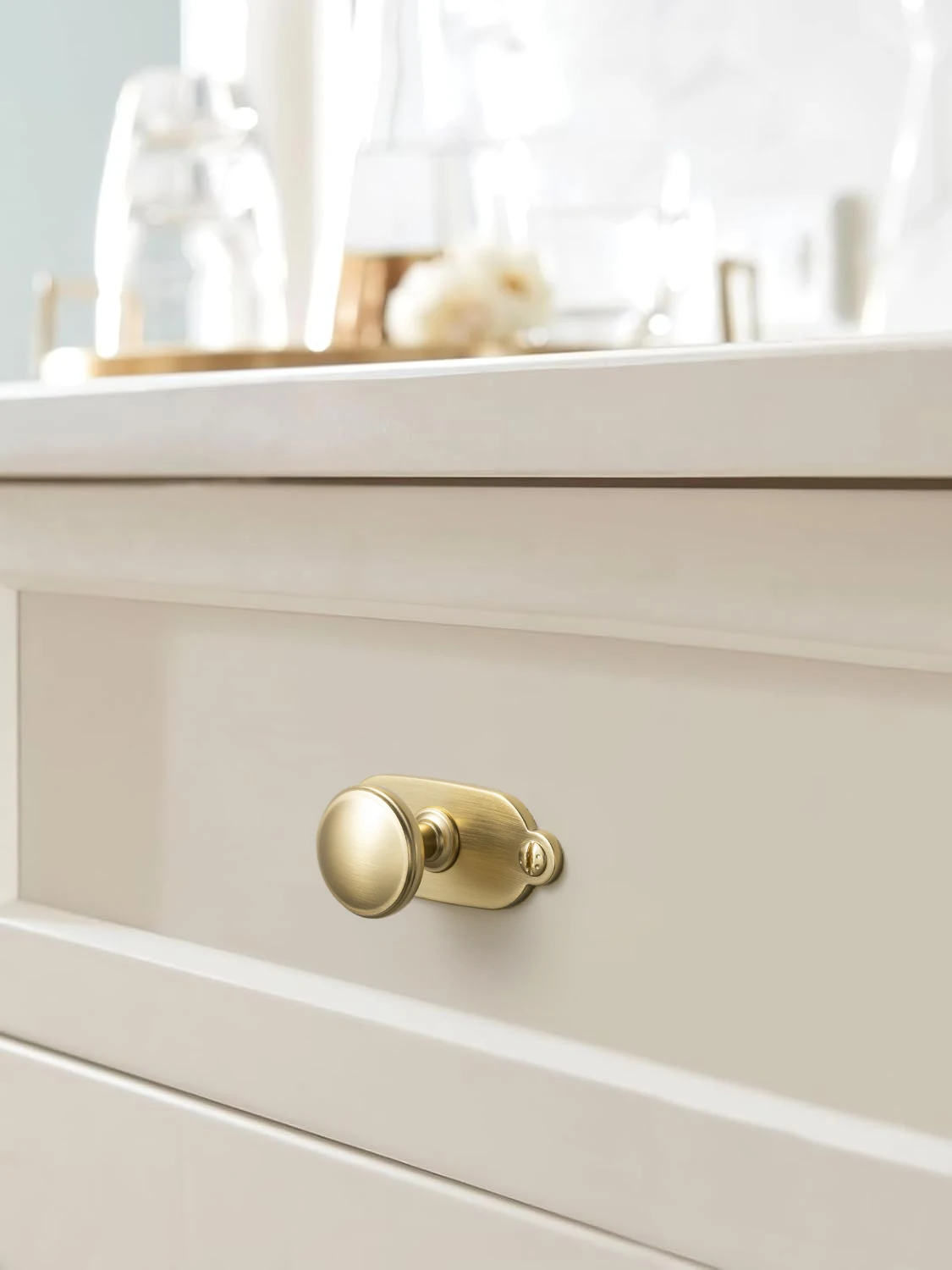 

Goo-Ki Champagne Bronze Zinc Alloy Cabinet Knob with Backplate - Single Hole Center Cabinet Pull Hardware for Bedroom, Kitchen