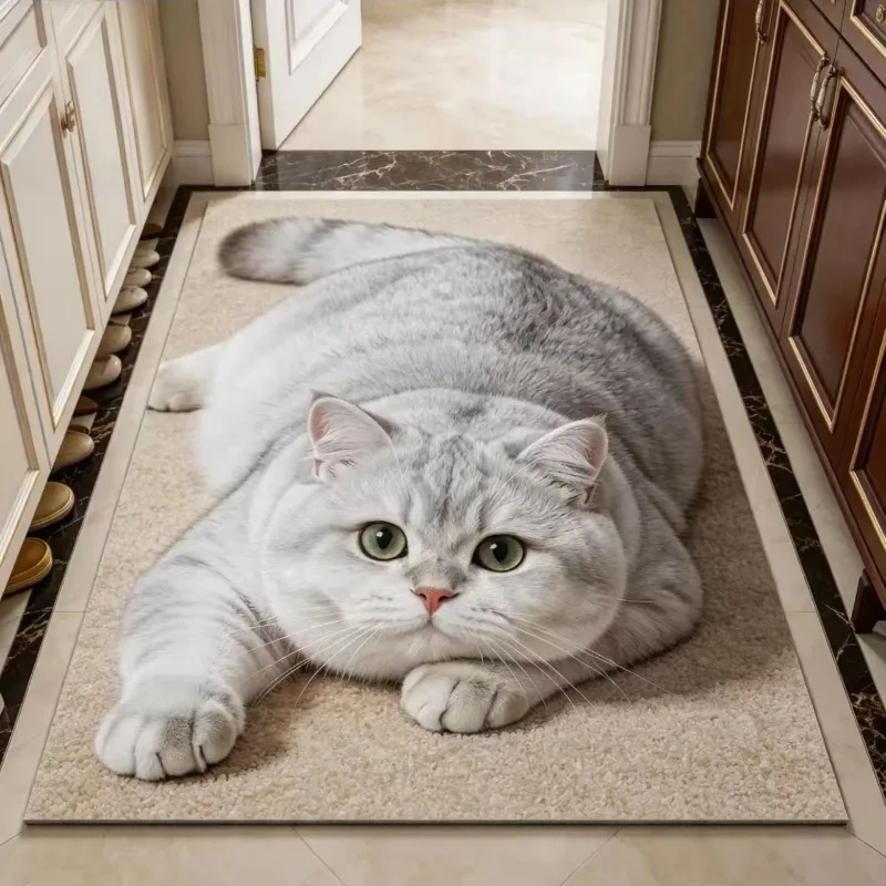 Home floor mat Cartoon door mat, foot mat, water absorption, non-slip and anti-dirty