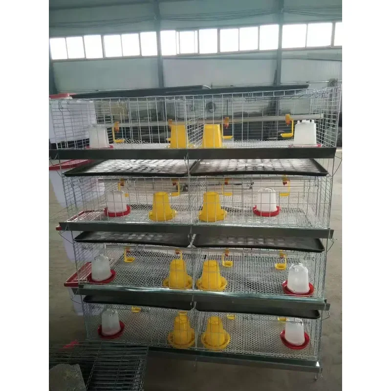 Small Household Chick Brooder Cage, Suitable for Backyard Farming and Chick Rearing Heavy-duty Galvanized Steel Brooding Cage