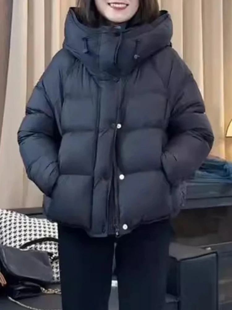 

Зимняя утепленная хлопковая куртка-пуховик женская с капюшоном, теплая, свободного кроя, в корейском стиле, с длинными рукавами, на молнии